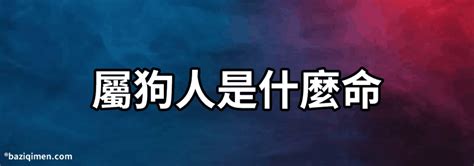 1994年屬什麼|十二生肖查詢